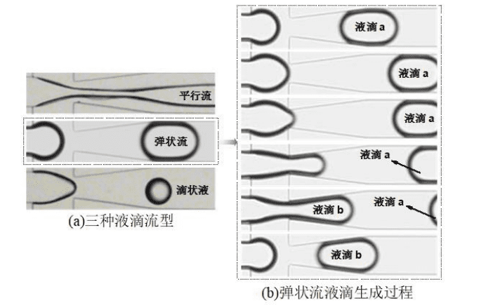 液滴微流控技术的发展及应用-顶旭微控