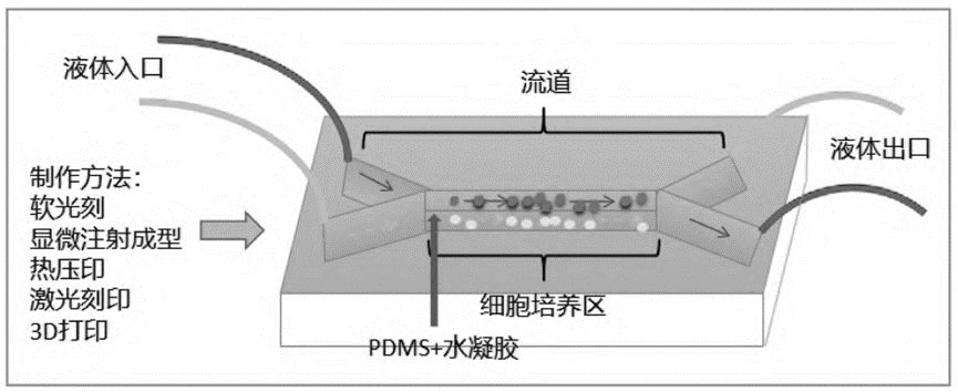 3D-CMCs 模型示意图