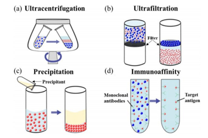 Conventional cell separation and concentration techniques