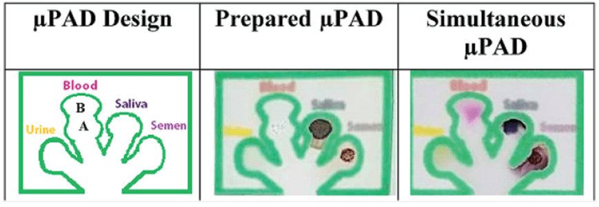 在法医血清学中的多路复用 PAD
